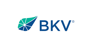 BKV logo