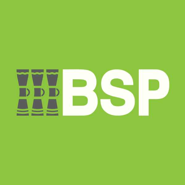 BSP Financial Group logo
