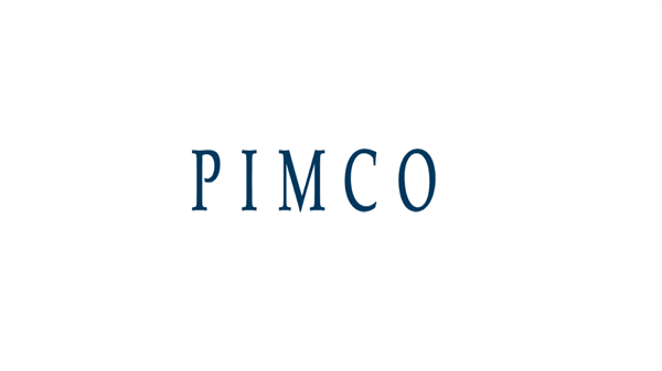 PIMCO Dynamic Income Strategy Fund logo