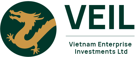 Vietnam Enterprise logo