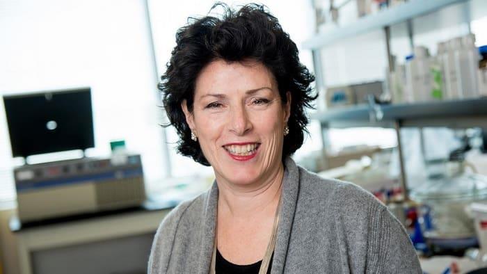 Susan  Molineaux net worth and biography