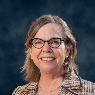 Lisa  LaVange net worth and biography