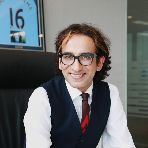 Raman  Singh net worth and biography